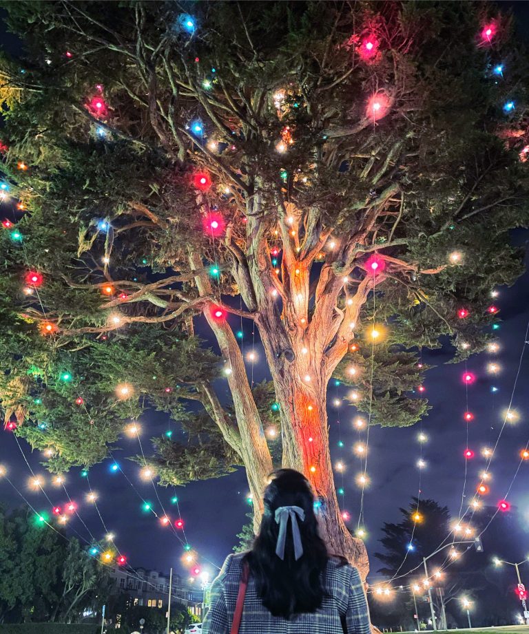 best holiday lights in bay area