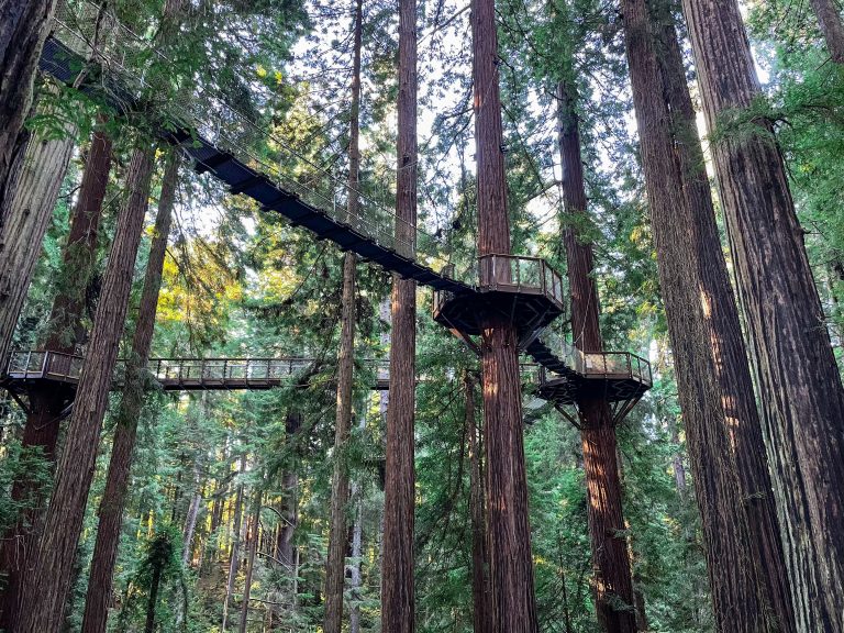 8 Things to do in Eureka to help plan your perfect weekend getaway