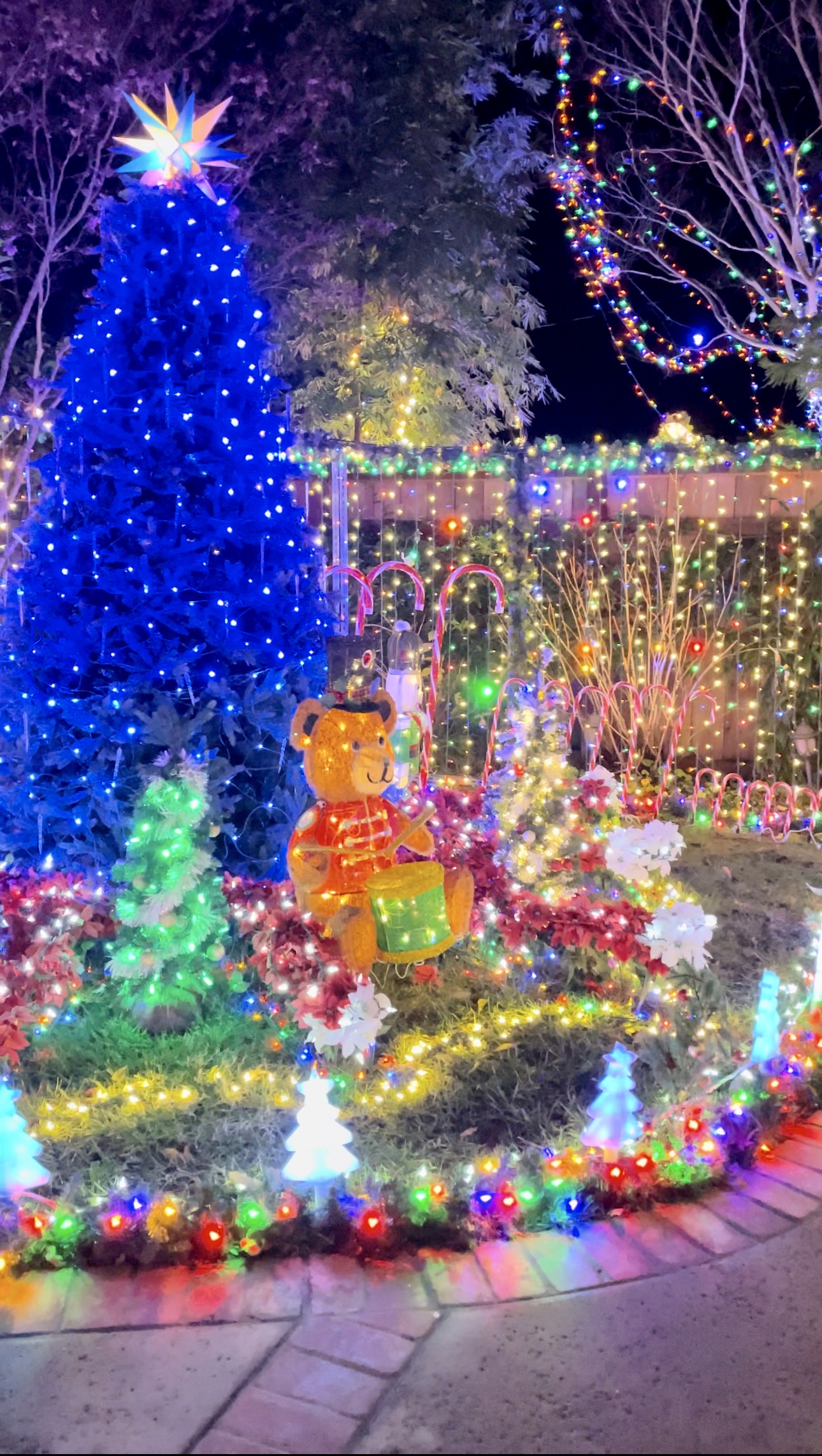 holiday lights in Bay area - Fosters holidays