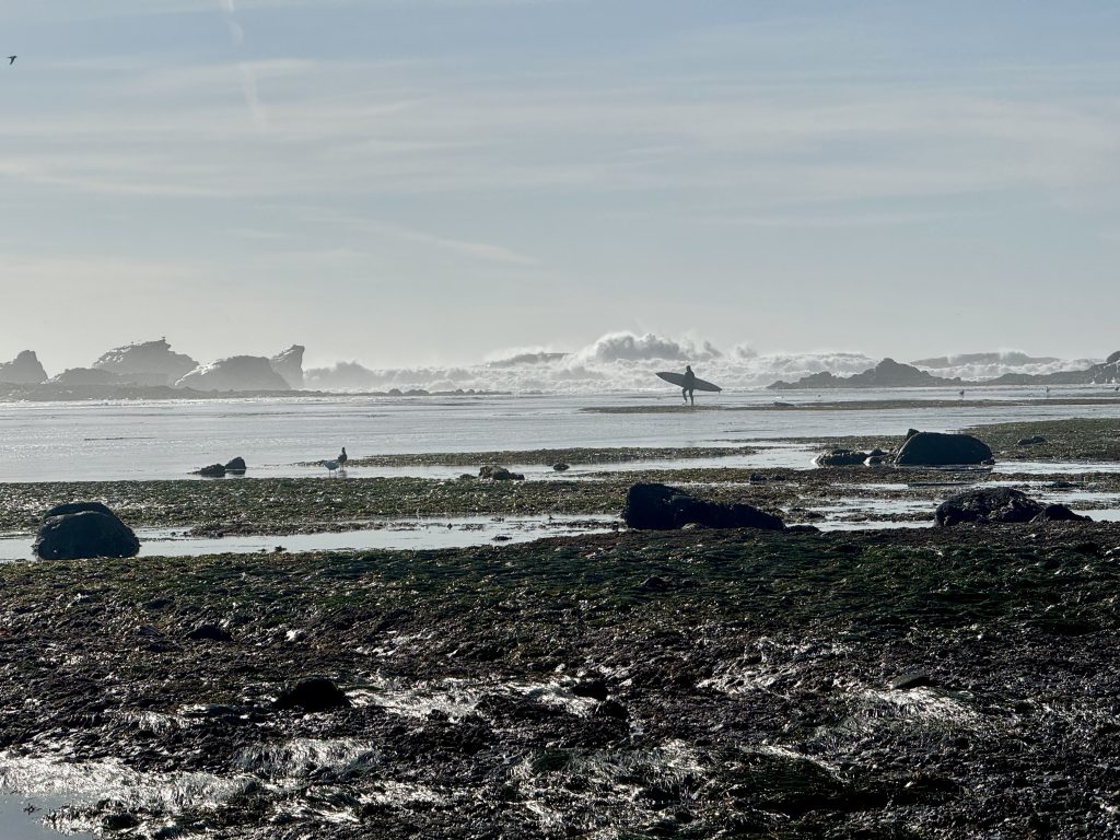 king tides - Maverick beach
