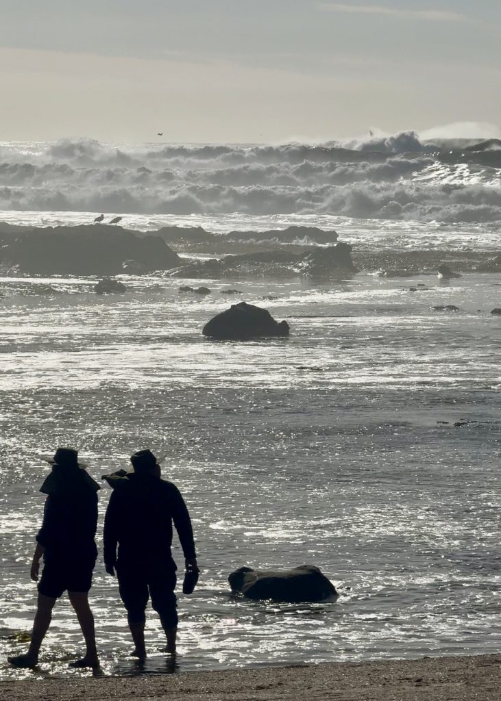 king tides - maverick beach