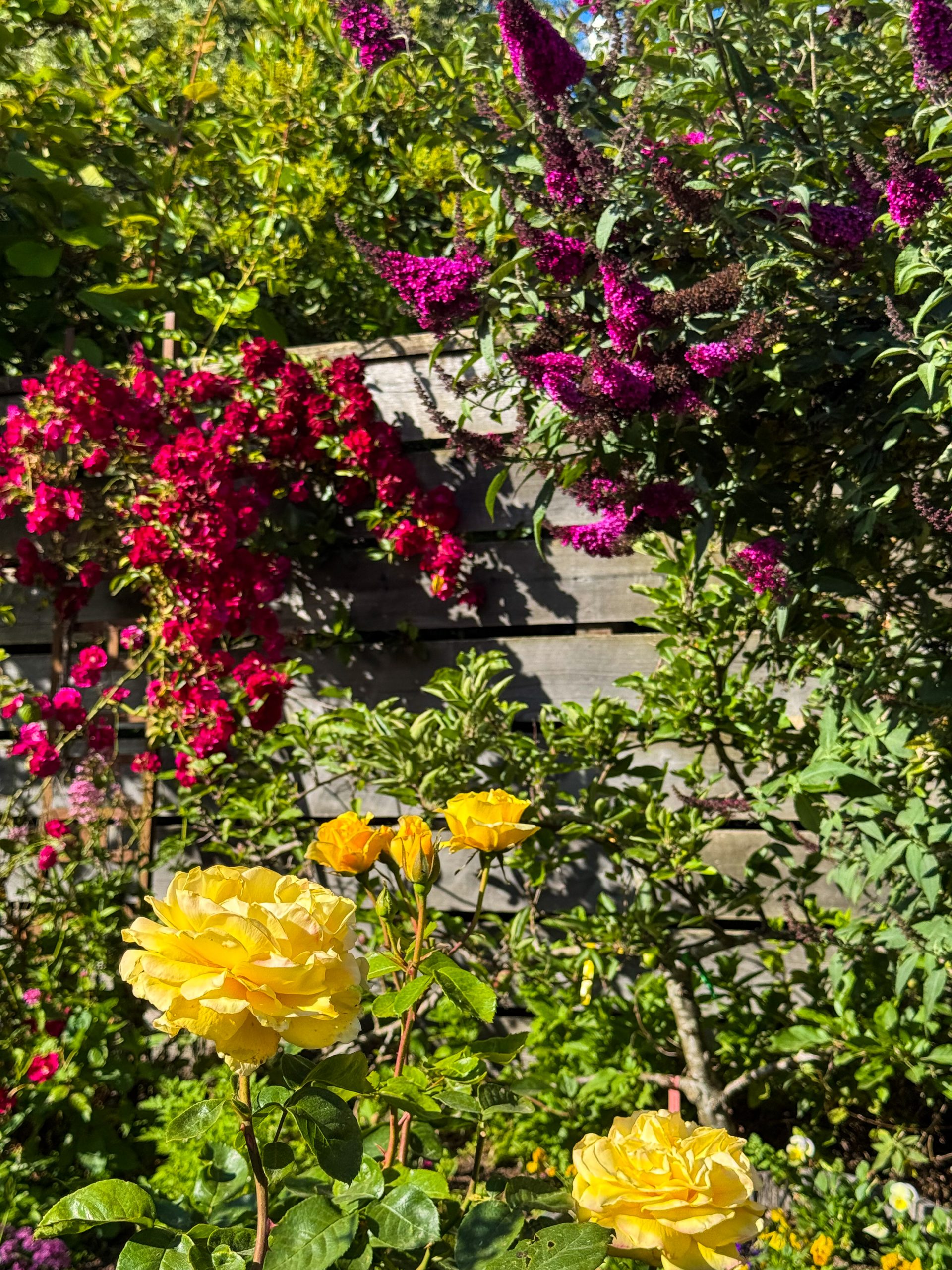Point Reyes Brickmaiden Bakery Backyard Garden