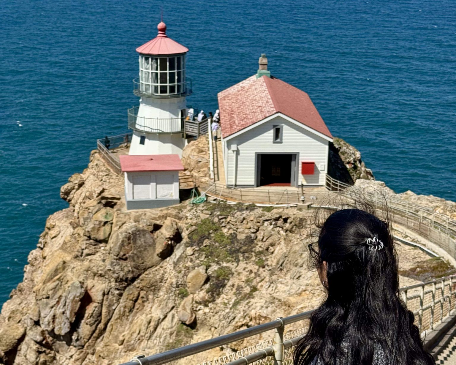 Point Reyes Trip A perfect day trip to Point Reyes - The foggiest place on the West ...