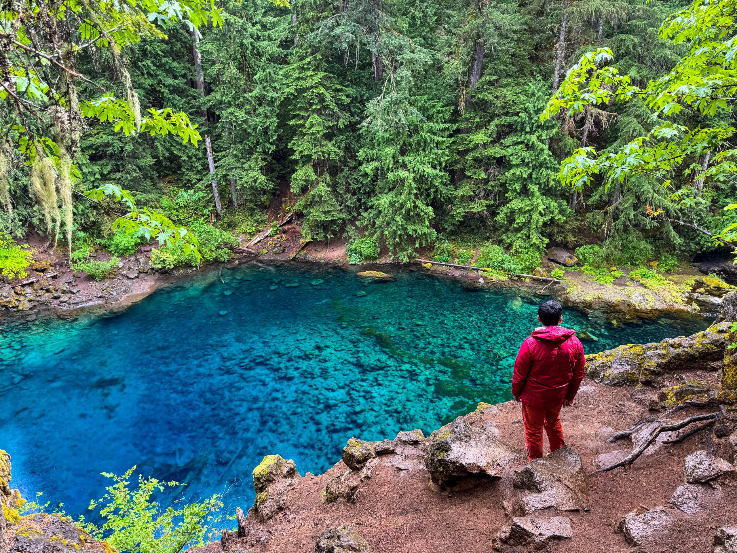 Tomolitch Blue Pool