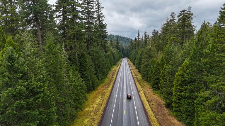 Road trip from California to Oregon