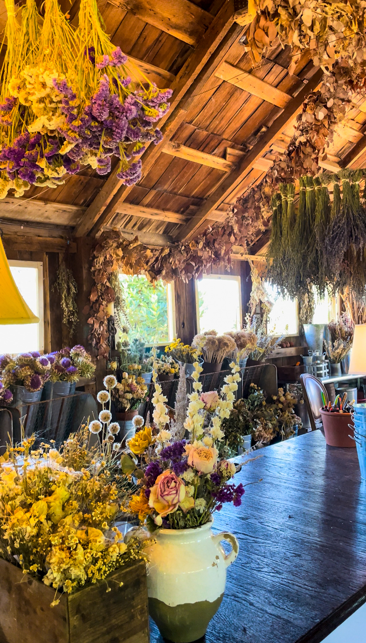 The barn at the park Winters flower farm full of flowers