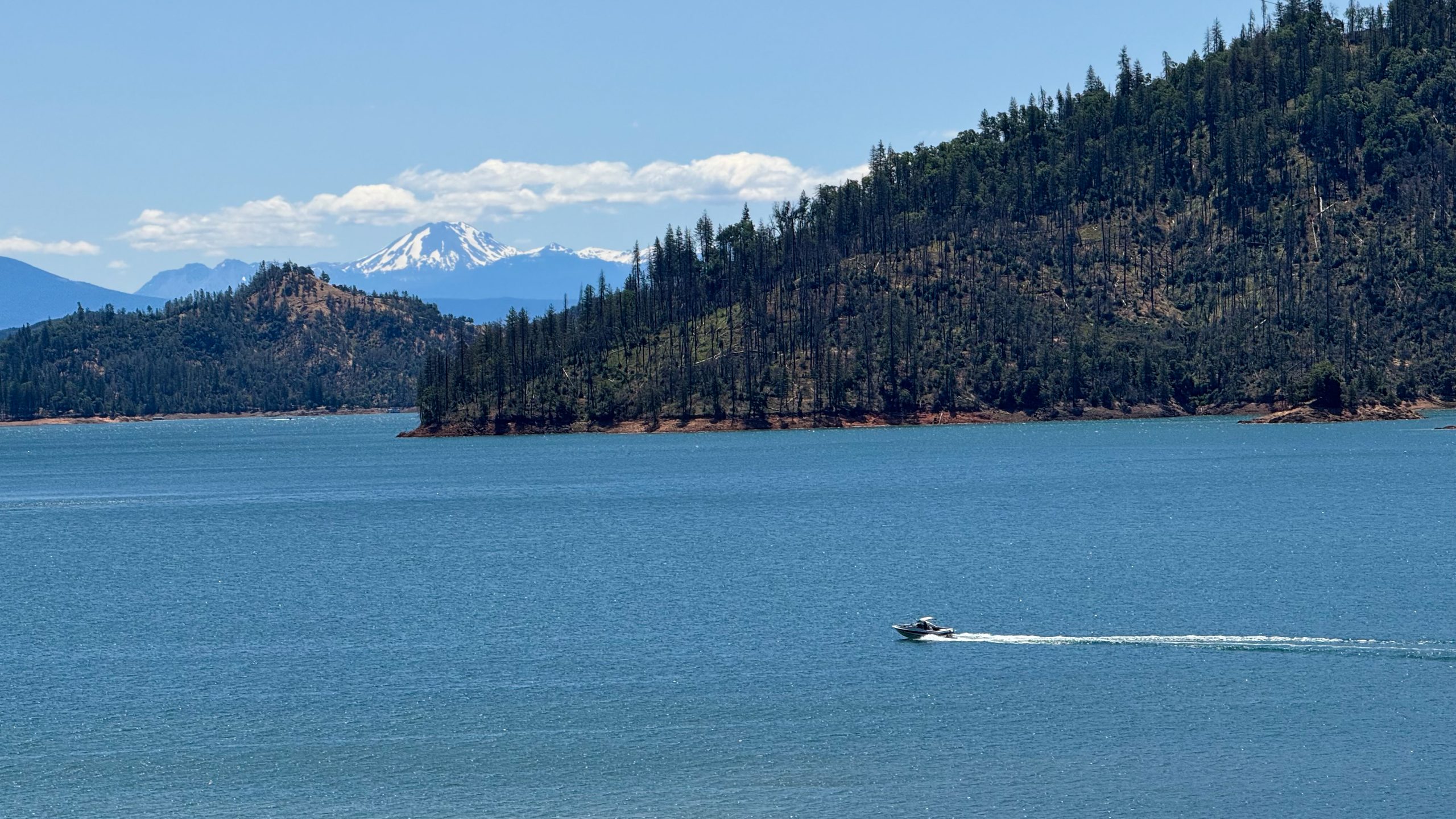 Shasta Lake