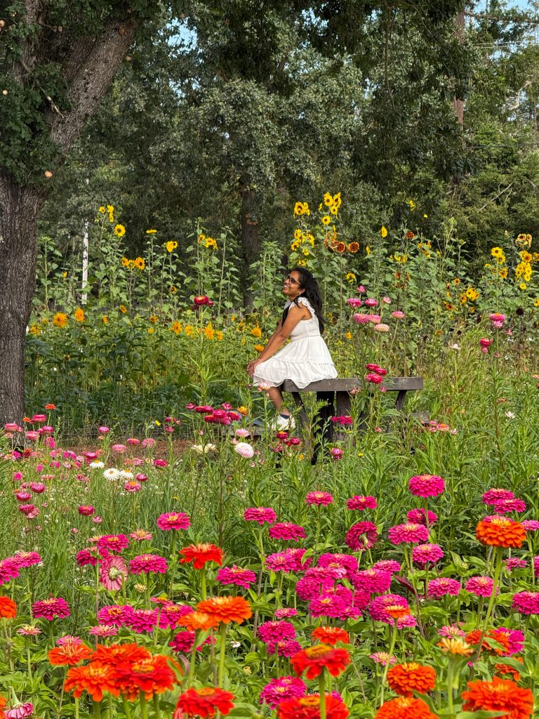 Flower Farm in Santa Rosa