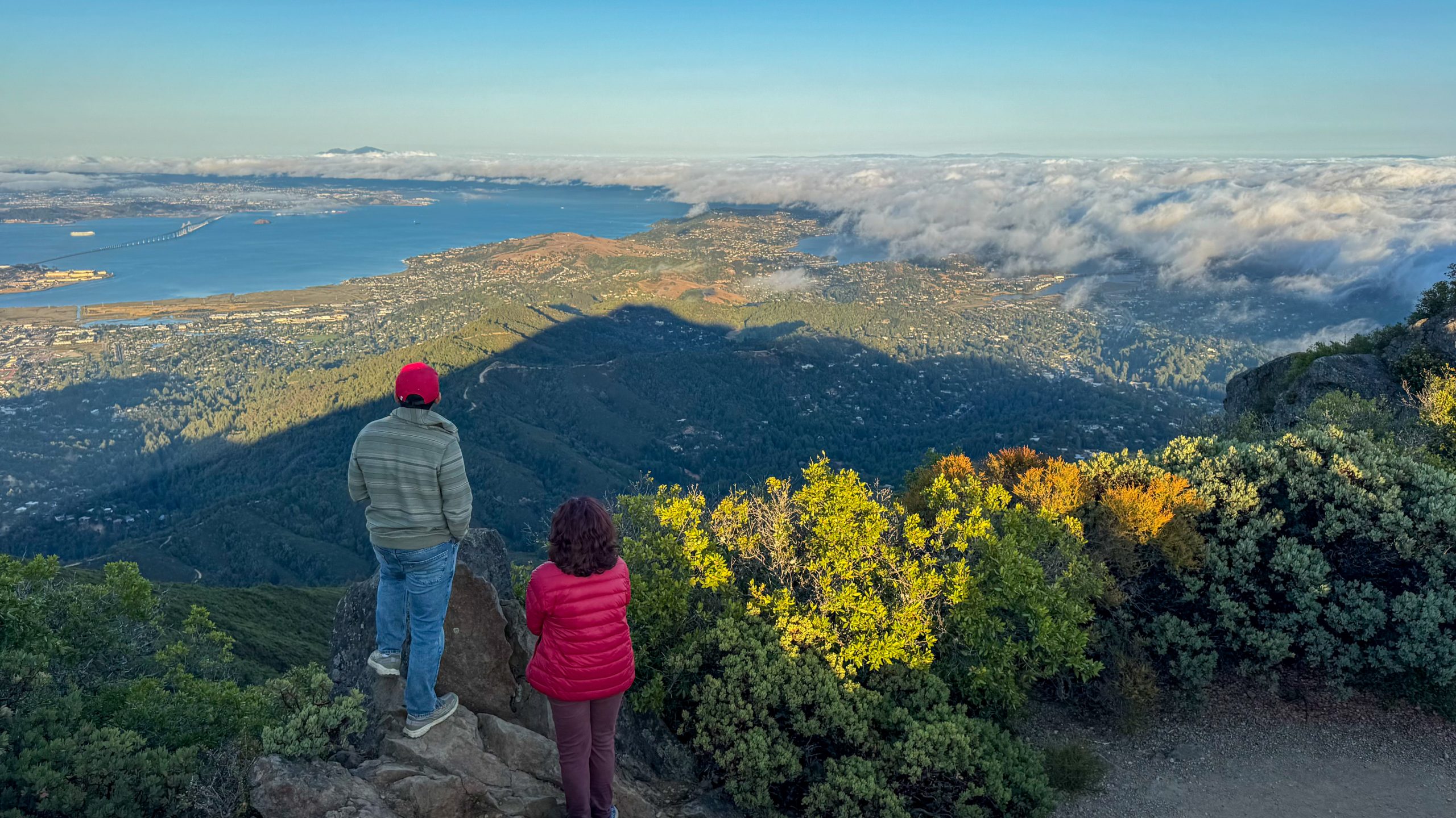 View from the Mt Tam East Peak Fire lookout