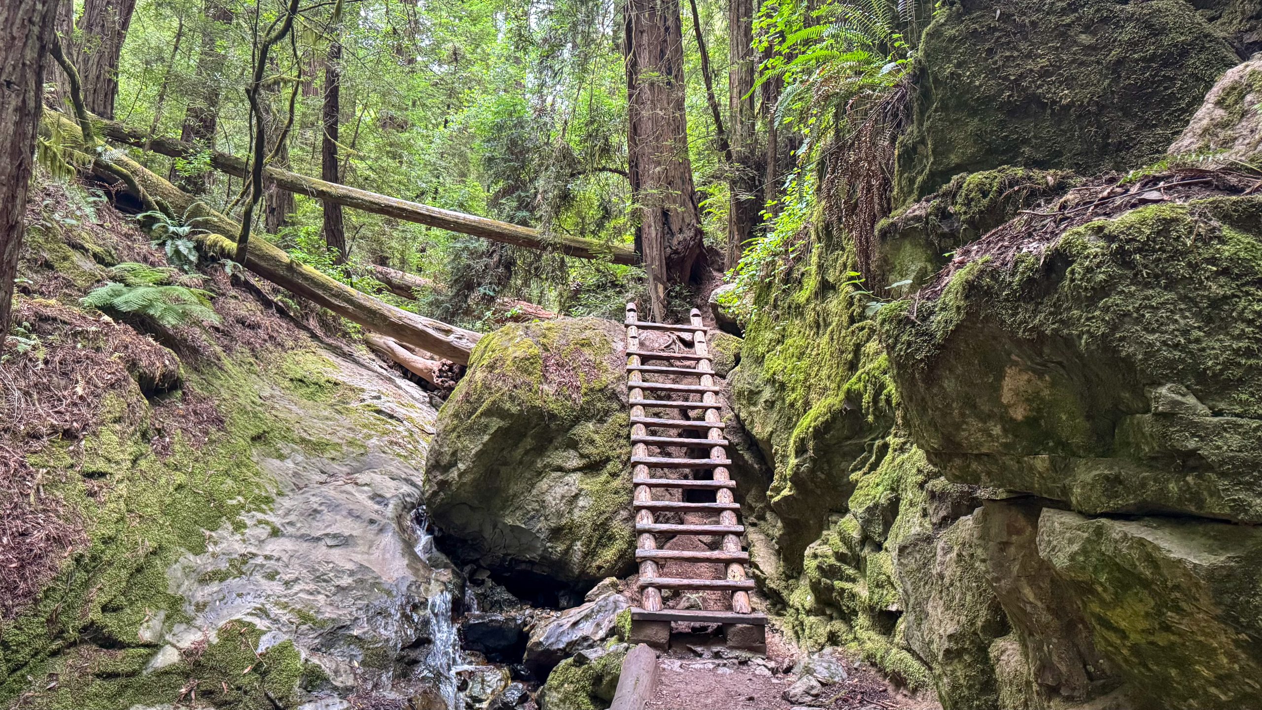 Ladder on Steep Ravine Trail by the small waterfall