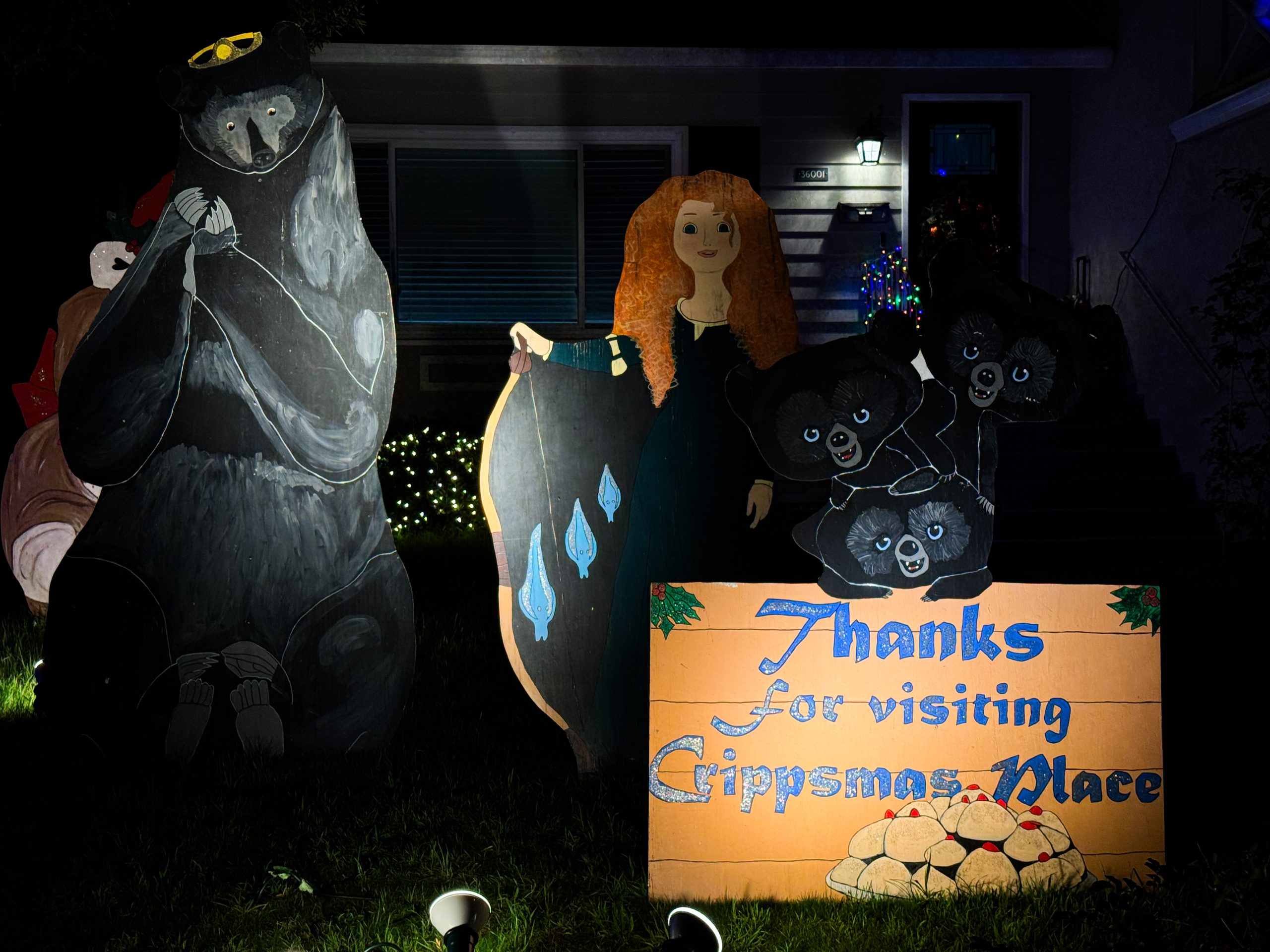 Holiday lights in the Bay Area