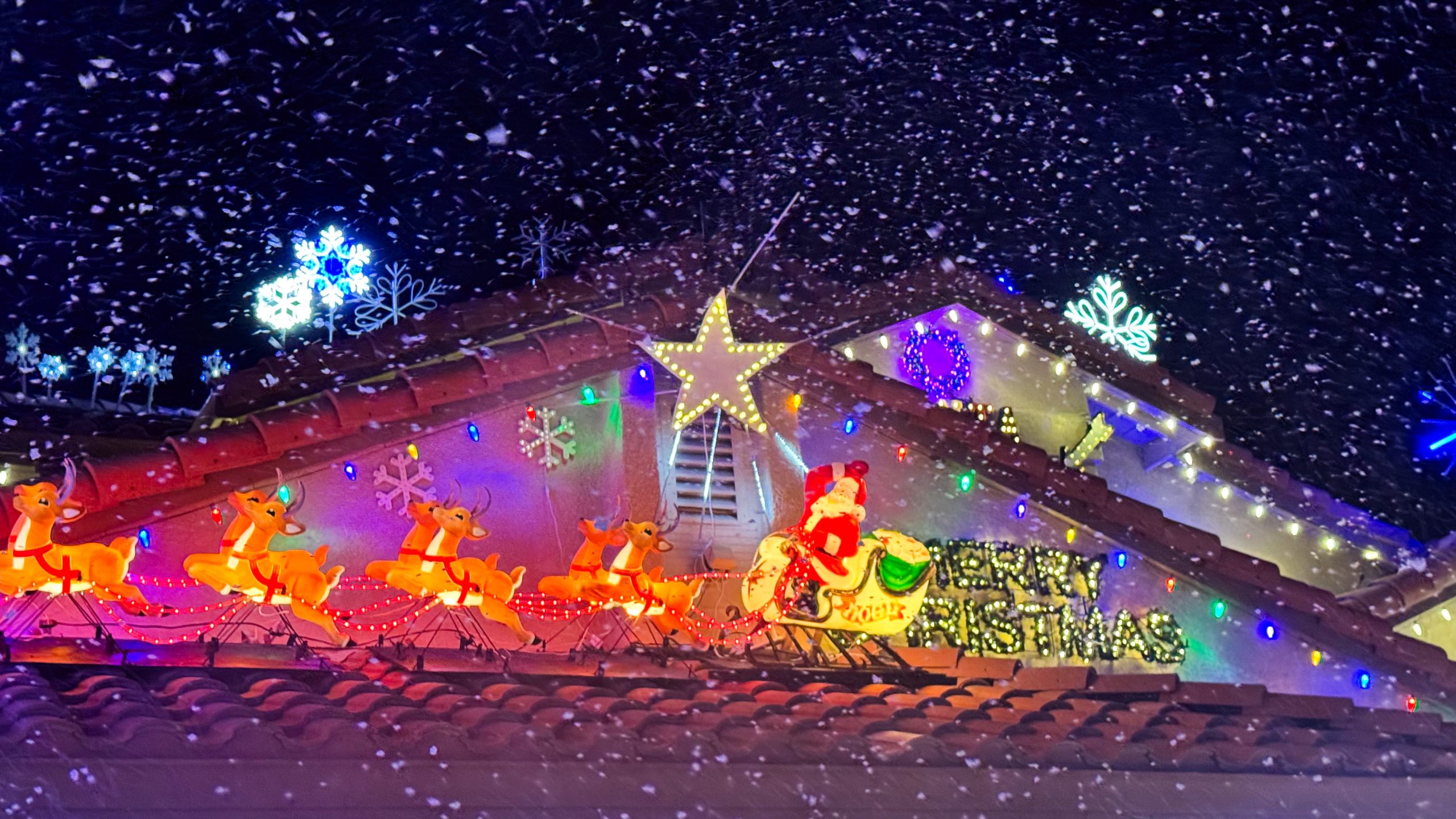 Holiday lights in the Bay Area