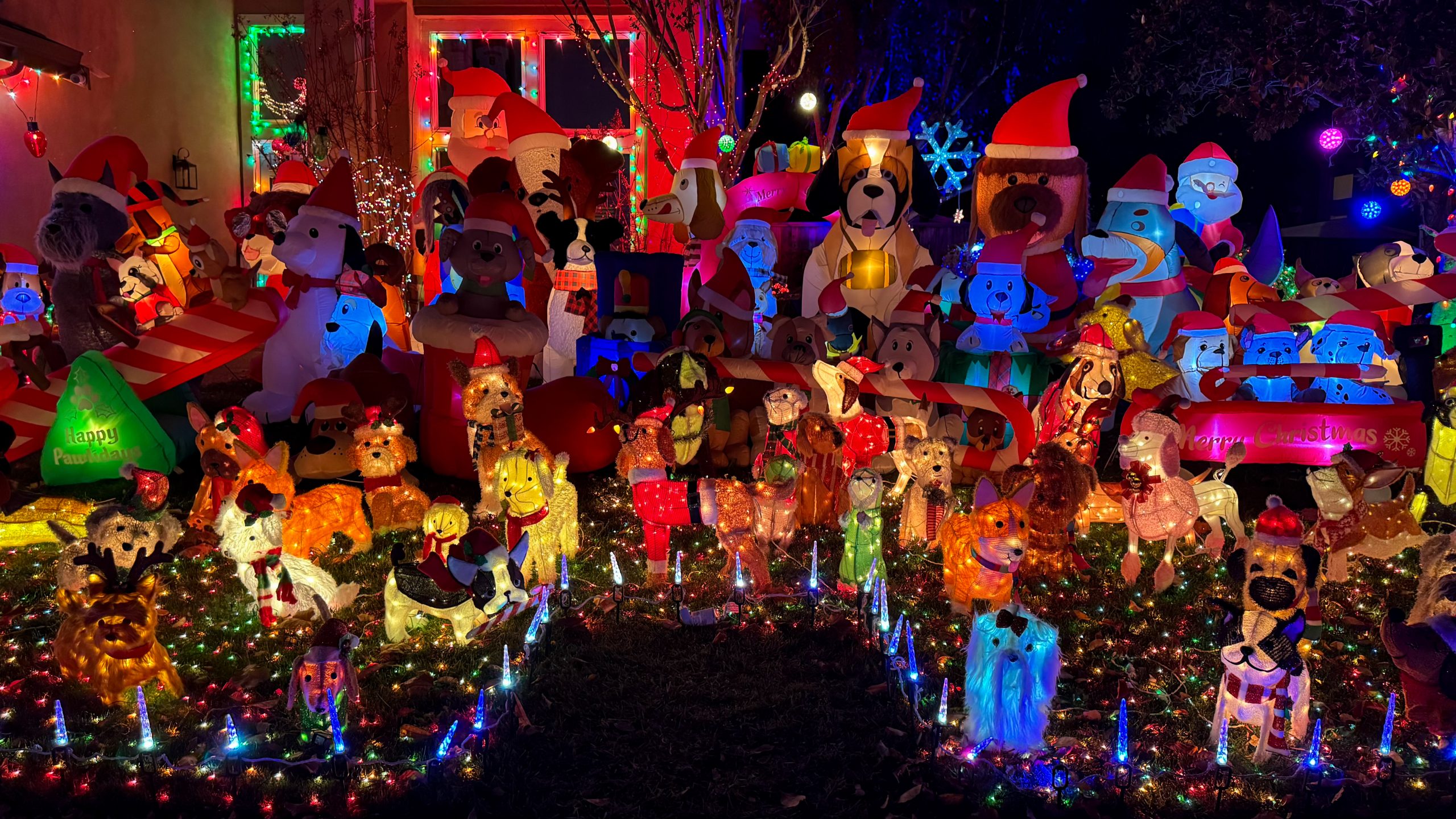 Holiday lights in the Bay Area