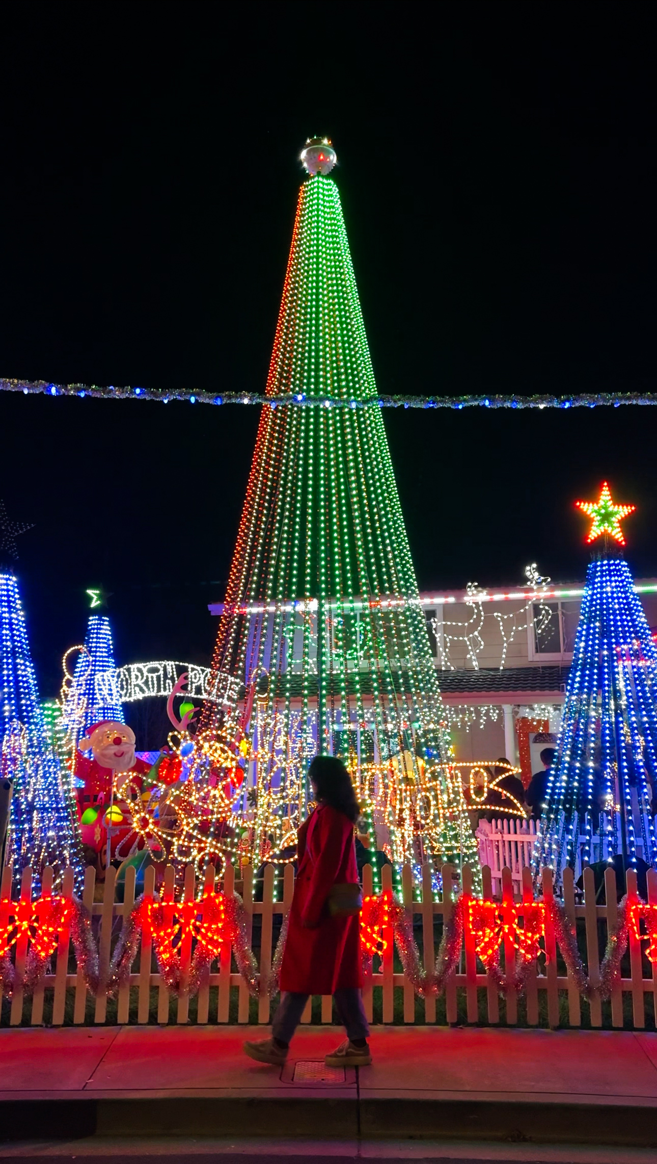 Holiday lights in the Bay Area