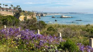 2 Day Pismo Beach Itinerary: The Perfect Weekend Getaway in Central California