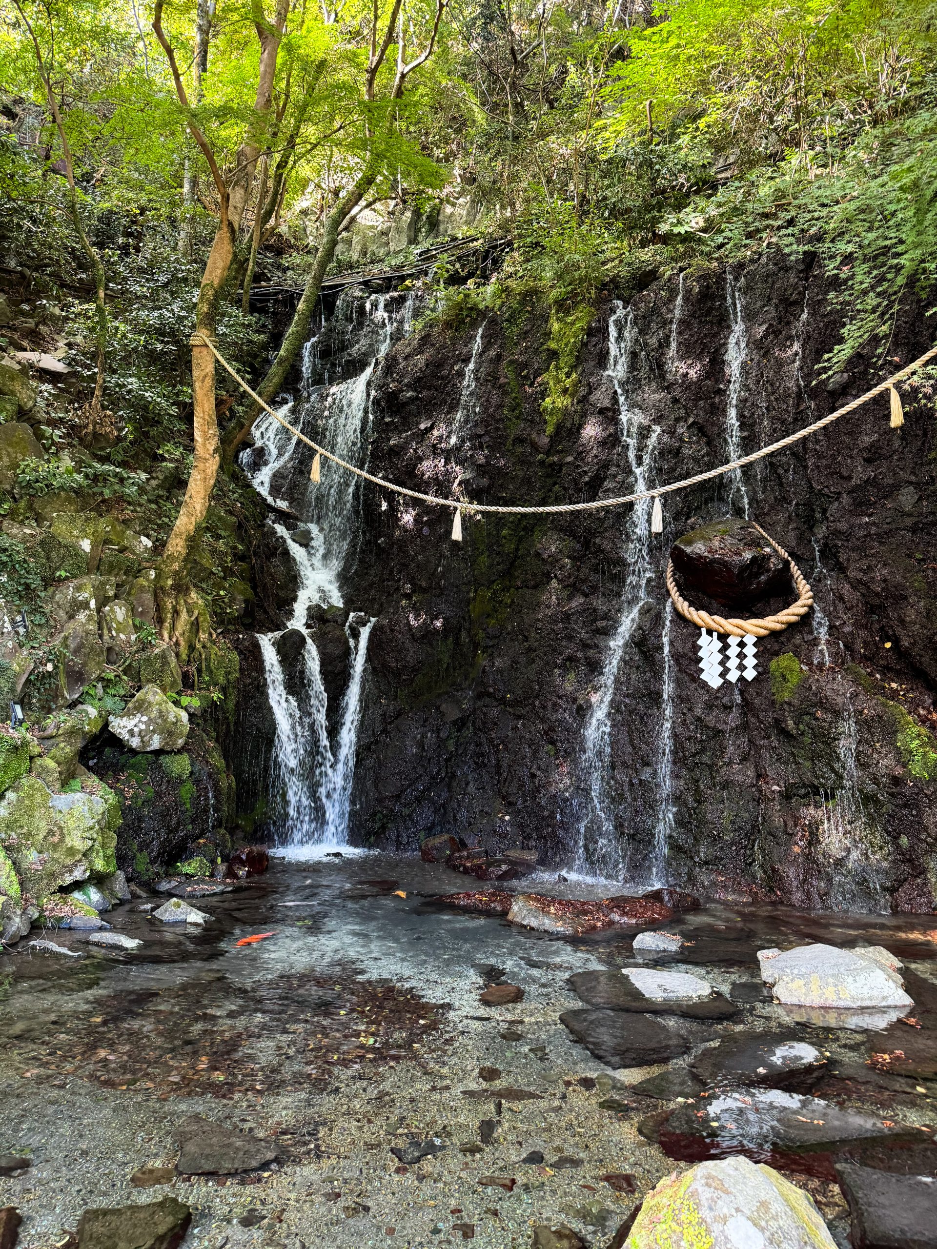 A waterfall on our walks in Hakone, Japan