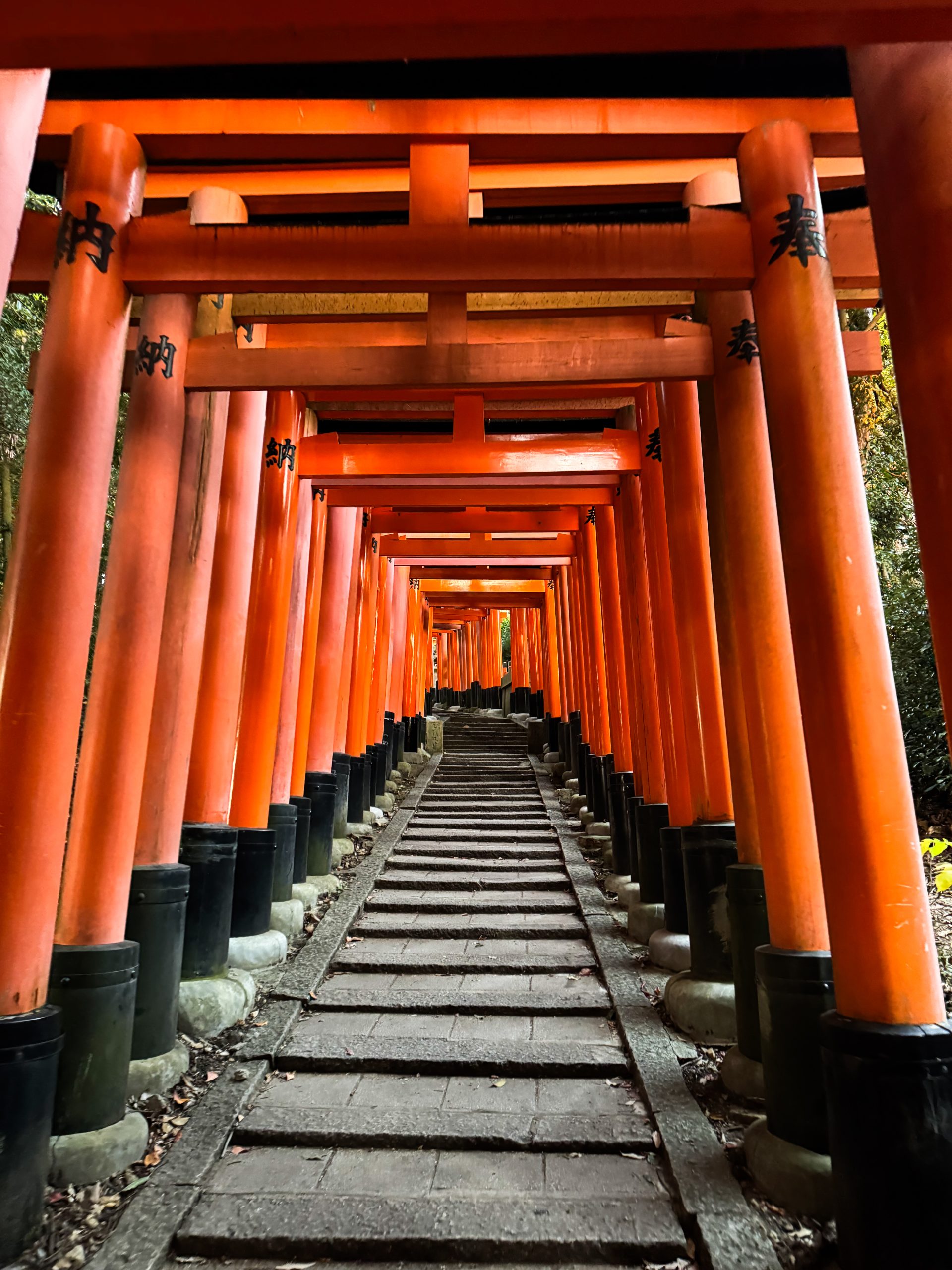 Fushimi Inari Taisha in Kyoto